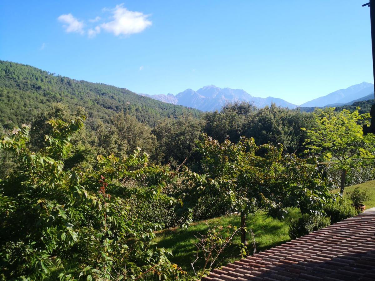 L'Ogliastru Bed & Breakfast Ucciani Exterior photo